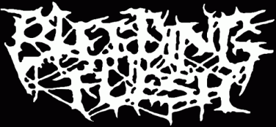 logo Bleeding Flesh